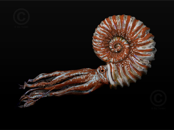 ammonite nudity